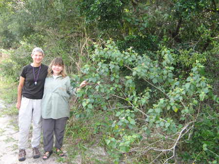 Lynn, Fátima & Solanum paludosum